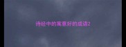 诗经中的寓意好的成语