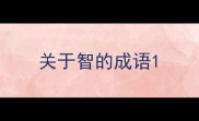 关于智的成语