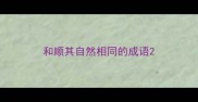 和顺其自然相同的成语
