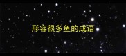 形容很多鱼的成语