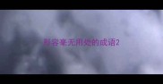 形容毫无用处的成语