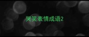 哭笑表情成语