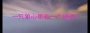 一只狼心里有一个成语