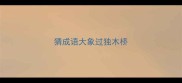 猜成语大象过独木桥