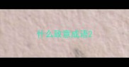 什么致意成语