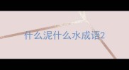 什么泥什么水成语