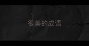 很美的成语