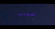 关于写鸟的成语