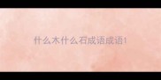 什么木什么石成语成语
