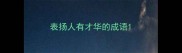 表扬人有才华的成语
