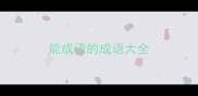 能成语的成语大全