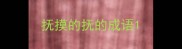 抚摸的抚的成语