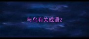 与鸟有关成语