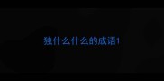 独什么什么的成语