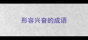 形容兴奋的成语