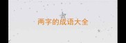两字的成语大全