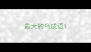 最大的鸟成语