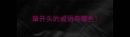 章开头的成语有哪些