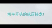 妍字开头的成语接龙