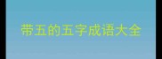 带五的五字成语大全