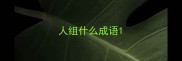 人组什么成语