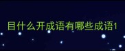 目什么开成语有哪些成语