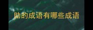 助的成语有哪些成语