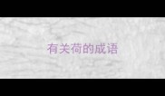 有关荷的成语