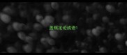 盖棺定论成语