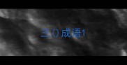 三成语