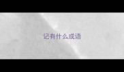 记有什么成语