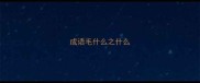 成语毛什么之什么