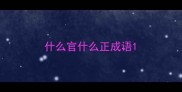什么官什么正成语