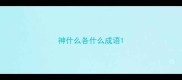 神什么各什么成语