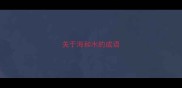 关于海和水的成语