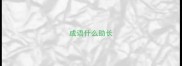 成语什么助长