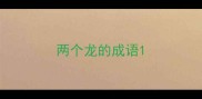 两个龙的成语