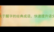10个关于醒字的经典成语快速提升语文成绩