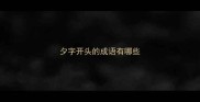 夕字开头的成语有哪些