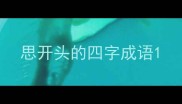 思开头的四字成语
