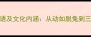 10个兔子开头的成语及文化内涵从动如脱兔到三窟之兔的智慧传承