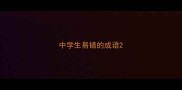中学生易错的成语