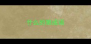 什么的狼成语