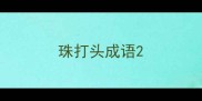 珠打头成语
