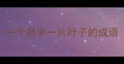 一个目字一片叶子的成语