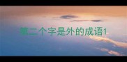 第二个字是外的成语