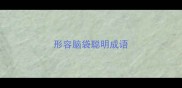 形容脑袋聪明成语