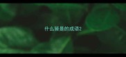 什么皆是的成语