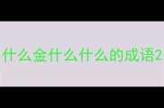 什么金什么什么的成语