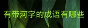 有带河字的成语有哪些